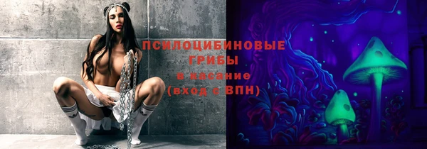 крисы Сатка