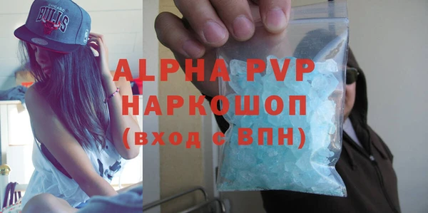 крисы Сатка