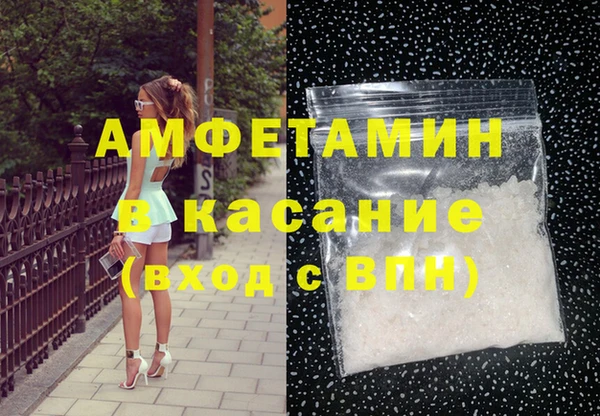 индика Саяногорск