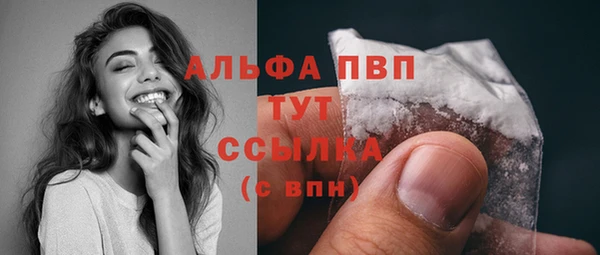 прущие грибы Абаза