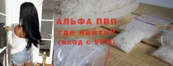 прущие грибы Абаза