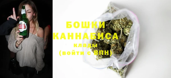 индика Саяногорск