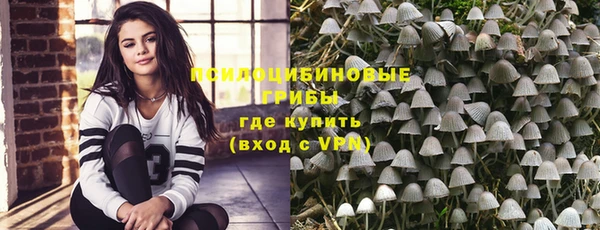 дживик Сафоново