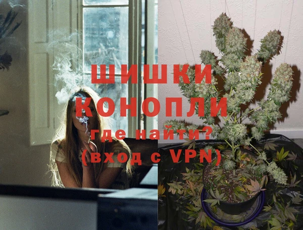 индика Саяногорск