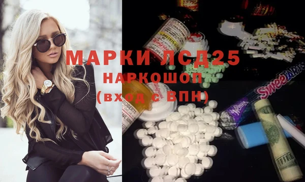 крисы Сатка