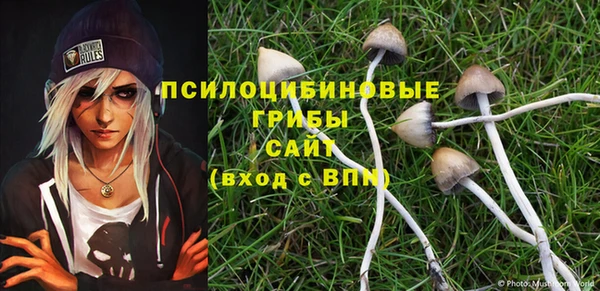дживик Сафоново