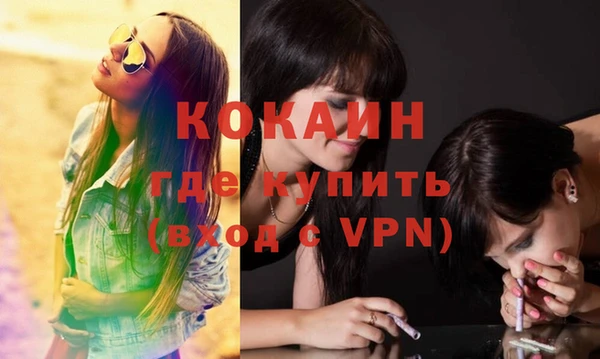 крисы Сатка