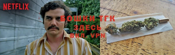 индика Саяногорск