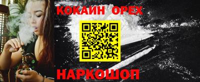 шишки Владимир