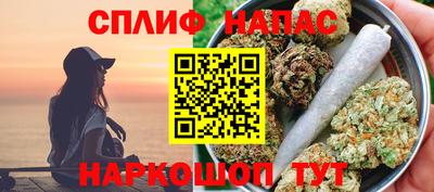 шишки Владимир