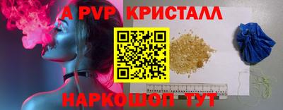 СК Владивосток