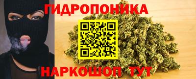 СК Владивосток