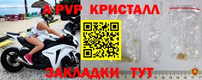шишки Владимир