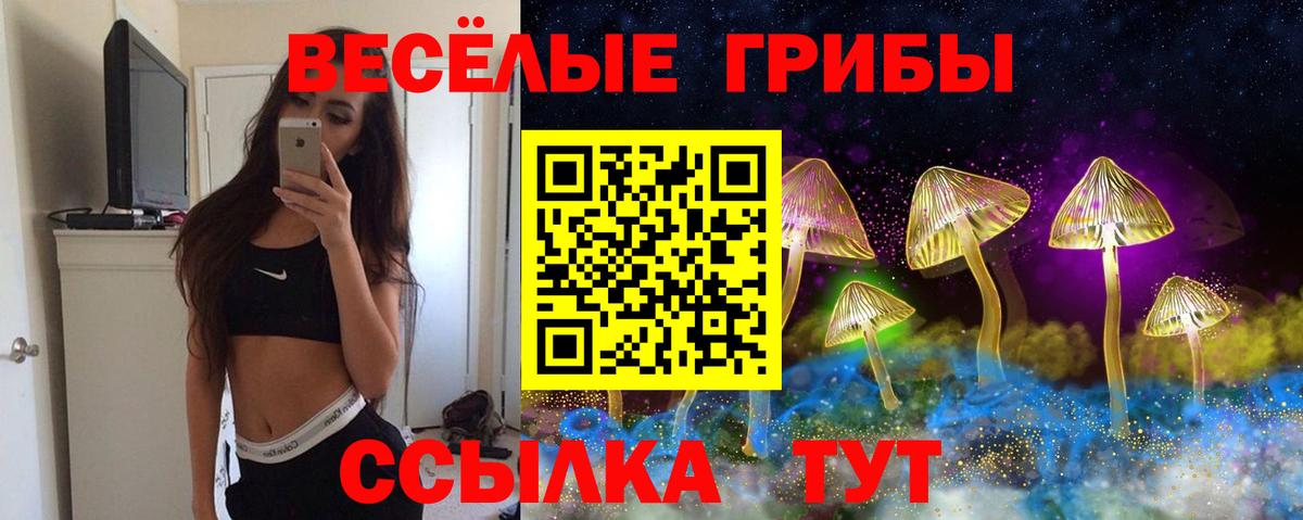 Псилоцибиновые грибы MAGIC MUSHROOMS Благодарный