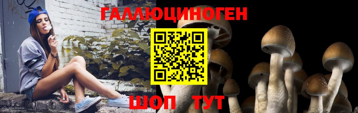 наркотики  Галлюциногенные грибы MAGIC MUSHROOMS  Вход с VPN  Благодарный 